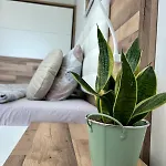 Mirrart House - просторен луксозен - 3 спални - 2 бани - център *
