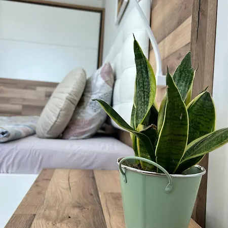 Mirrart House - просторен луксозен - 3 спални - 2 бани - център *