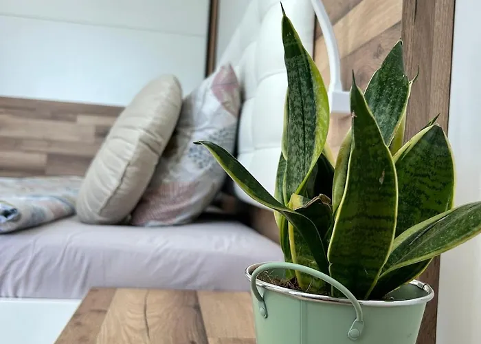 Mirrart House - просторен луксозен - 3 спални - 2 бани - център *